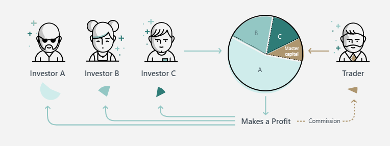 Exness Social Trading as Investor